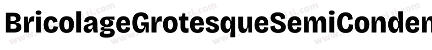 BricolageGrotesqueSemiCondensed Bol字体转换